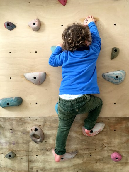 Sam's Climbing Wall