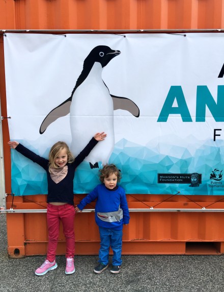 Australian Antarctic Festival