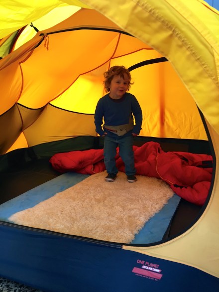 Australian Antarctic Festival