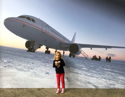 Australian Antarctic Festival