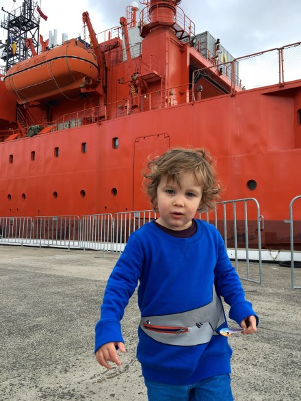 Australian Antarctic Festival