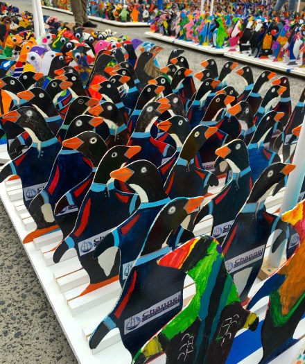 Australian Antarctic Festival