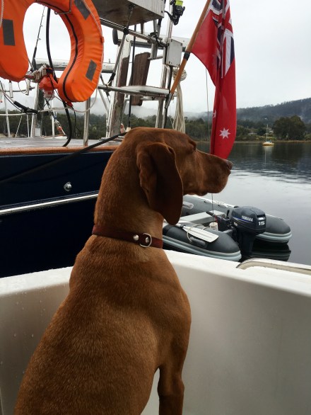 Maisy - Huon River