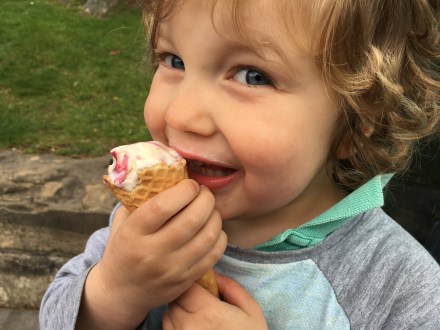 Hobart Town Hall Celebrations